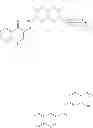 Fig. 216 - MODULATORS OF ATP-BINDING CASSETTE TRANSPORTERS