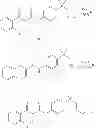 Fig. 239 - MODULATORS OF ATP-BINDING CASSETTE TRANSPORTERS