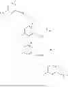 Fig. 63 - MODULATORS OF ATP-BINDING CASSETTE TRANSPORTERS