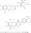 Fig. 89 - MODULATORS OF ATP-BINDING CASSETTE TRANSPORTERS