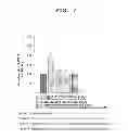 Fig. 08 - Composition for reducing skin wrinkles including PDE5 inhibitor