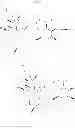 Fig. 205 - 6,11-BRIDGED BIARYL MACROLIDES