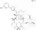 Fig. 216 - 6,11-BRIDGED BIARYL MACROLIDES