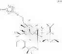 Fig. 23 - 6,11-BRIDGED BIARYL MACROLIDES