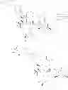 Fig. 232 - 6,11-BRIDGED BIARYL MACROLIDES