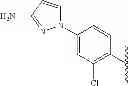 Fig. 455 - 6,11-BRIDGED BIARYL MACROLIDES