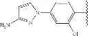 Fig. 481 - 6,11-BRIDGED BIARYL MACROLIDES