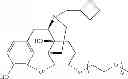 Fig. 45 - Oligomer-opioid agonist conjugates