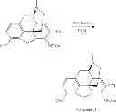 Fig. 97 - Oligomer-opioid agonist conjugates