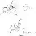 Fig. 99 - Oligomer-opioid agonist conjugates