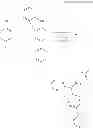 Fig. 41 - Carbazole Derivative and Method for Producing the Same