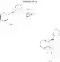 Fig. 33 - CRTH2 MODULATORS AND PREPARATION THEREOF