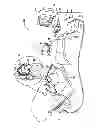 Fig. 02 - Catheter with serially connected sensing structures and methods of calibration and detection