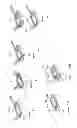 Fig. 97 - Radioactive-emission-measurement optimization to specific body structures