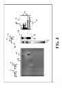 Fig. 09 - OBJECT INFORMATION ACQUIRING APPARATUS AND OBJECT INFORMATION ACQUIRING METHOD
