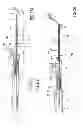 Fig. 22 - Intravenous catheter insertion and blood sample devices and method of use