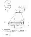 Fig. 01 - Devices, systems, and methods for determining linear and angular accelerations of the head