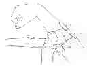 Fig. 01 - Method and apparatus for applying neuromuscular electrical stimulation