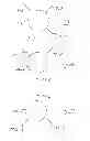 Fig. 06 - Cerebrospinal fluid drainage