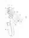 Fig. 02 - Check valve arrangement