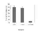 Fig. 07 - ADVANCED FUNCTIONAL BIOCOMPATIBLE FOAM USED AS A HEMOSTATIC AGENT FOR COMPRESSIBLE AND NON-COMPRESSIBLE ACUTE WOUNDS