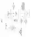 Fig. 02 - Precise targeting of surgical photodisruption