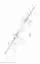Fig. 02 - SURGICAL NAIL