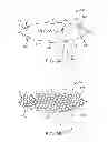 Fig. 19 - Methods and devices for deploying and releasing a temporary implant within the body