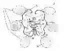 Fig. 01 - Electronic device for weight control