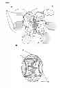 Fig. 02 - Electronic device for weight control