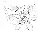 Fig. 04 - Electronic device for weight control