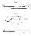 Fig. 02 - Surgical constructs and methods for securing tissue