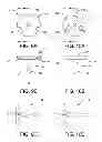 Fig. 09 - Apparatus and device for the fixation of osteosynthesis plates