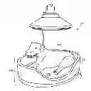 Fig. 01 - Methods For Weight Treatment in Animals Utilizing Narrow Spectrum Light