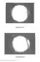 Fig. 22 - BIODEGRADABLE ENDOPROSTHESES AND METHODS FOR THEIR FABRICATION