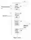 Fig. 01 - OLIGOMER SEQUENCES MAPPING