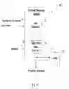 Fig. 02 - OLIGOMER SEQUENCES MAPPING