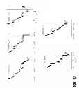 Fig. 07 - USER DEFINED NET TICK VOLUME BARS