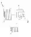 Fig. 05 - Spatiotemporal encounters detection in historical movement datasets