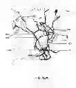 Fig. 17 - Spatiotemporal encounters detection in historical movement datasets