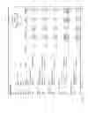 Fig. 05 - Database aggregation of purchase data