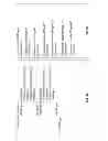 Fig. 04 - Data driven hierarchical pages