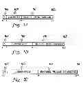 Fig. 02 - Executing perform floating point operation instructions