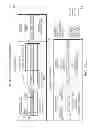 Fig. 31 - Lookup front end packet output processor
