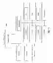 Fig. 16 - Automated communications system