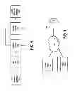 Fig. 06 - Apparatus, system and methods for portable device tracking using temporary privileged access
