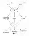 Fig. 06 - Systems and methods for network risk reduction