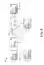 Fig. 07 - Managing access of network services