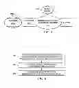 Fig. 05 - Extending organizational boundaries throughout a cloud architecture