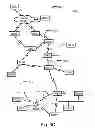 Fig. 10 - Methods, Systems, and Computer Program Products for Routing Based on a Scope-Specific Address